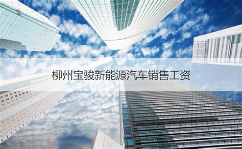 柳州享融商务信息服务有限公司-书生商务网