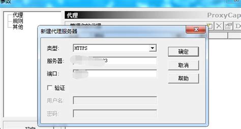 【ProxyCap特别版】ProxyCap汉化版下载 v5.35 中文特别版(附注册码)-开心电玩