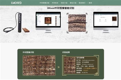 iWood木材智能识别系统发布并上线—新闻—科学网