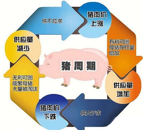 2021年中国猪肉价格走势分析及预测[图]_智研咨询