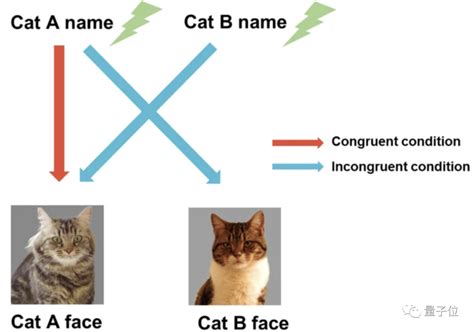果然是装的！最新研究：猫不但听得懂自己的名字，别的猫甚至人类的它也懂__财经头条