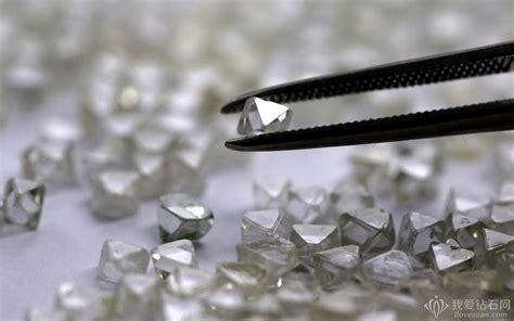 8月天然钻石价格指数大跌|价格指数|钻石价格_新浪新闻