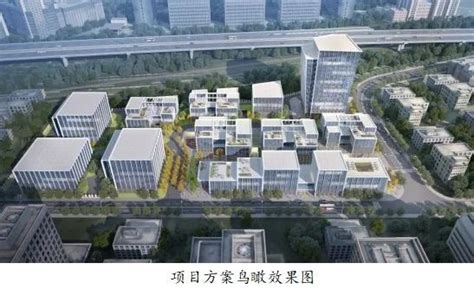 走出一条依靠科技创新引领区域转型的新路！宝山科创中心主阵地建设加速发力——上海热线HOT频道