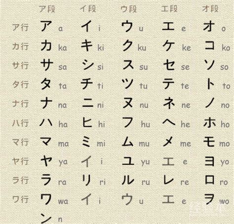 日语完全教程（日文影印版）+练习册+单词手册 第三册