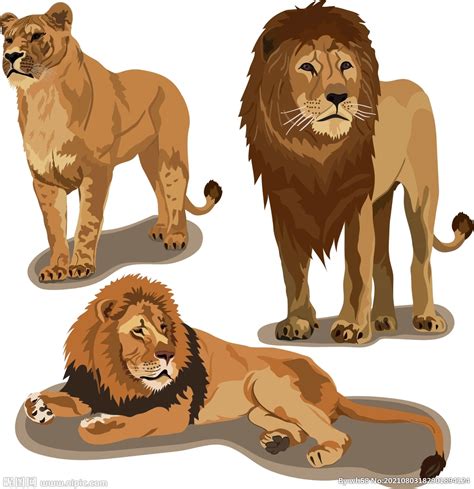 狮子,卡通,白色背景,分离着色,幸福,可爱的,动物的冠,怪异,背景分离,狮子座设计模板,汇图网www.huitu.com