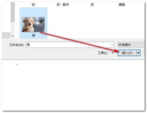 如何用photoshop导入图片到图层？PS导入图片到图层的方法 - 系统之家