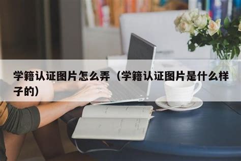 应届毕业生如何提供单位需要的学籍和学历证明_360新知