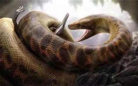 远古十大巨蛇蟒蛇,远古巨蛇,远古巨蛇传说_大山谷图库