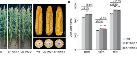 Science杂志在线发表华中农大与中国农大合作研究成果_驯化_水稻_基因组