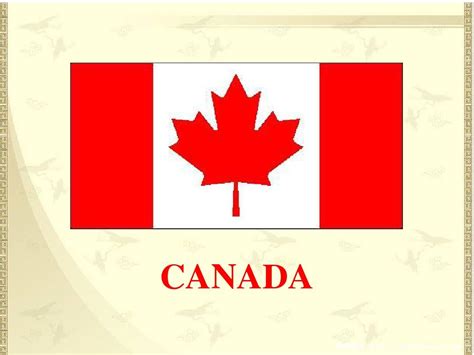 加拿大ILAC都开设哪些线上英语课程？适合哪些选择去加拿大留学移民的学生呢？ - 知乎