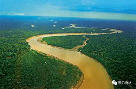为什么说亚马逊热带雨林是世界之肺？