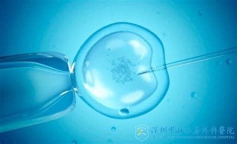 用于预测人辅助生殖技术中早期胚胎质量的miRNA分子标志及其应用的制作方法