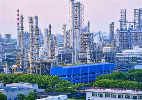宁波镇海炼化新和成生物科技有限公司正式揭牌，液体蛋氨酸项目全面开工！