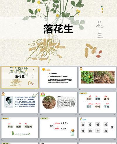 落花生思维导图图片