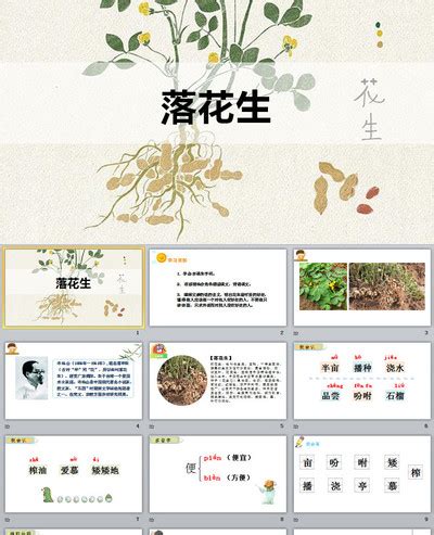 2《落花生》课件(共17张PPT)-21世纪教育网