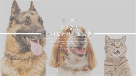 2019年中国宠物行业发展现状分析，宠物行业前途一片光明