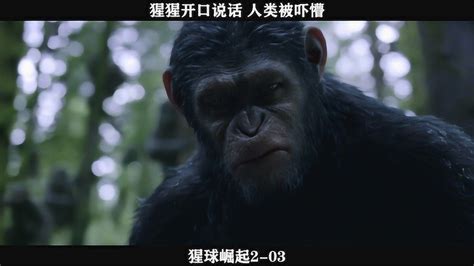 猩球崛起2-03，猩猩开口说话，人类被吓懵_高清1080P在线观看平台_腾讯视频