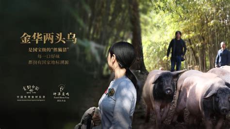 《食野中国 Wild Table》第10集：金华两头乌，是国宝级的“熊猫猪”。_高清1080P在线观看平台_腾讯视频