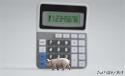今日生猪价格｜6月8日全国生猪价格行情数据汇总分析__财经头条