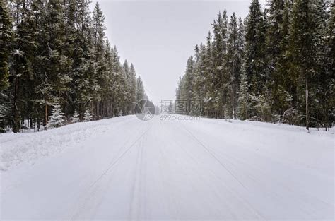 重雪降时被雪覆盖的森林道路高清图片下载-正版图片507419640-摄图网