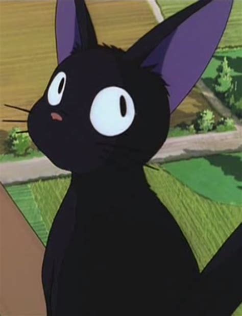 Jiji - Studio Ghibli Wiki