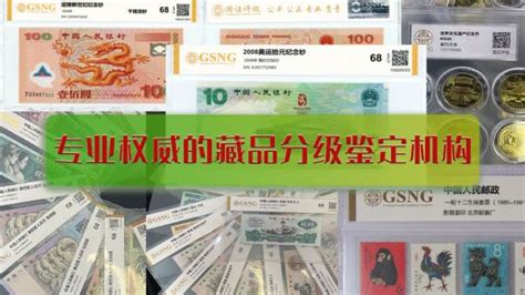 中国十大钱币评级机构有哪些（钱币评级公司排名前十）-云泽屋