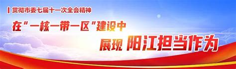 广州市国资国企考察团：把阳江作为广州国企未来投资的首选地 -海陵试验区政务网站