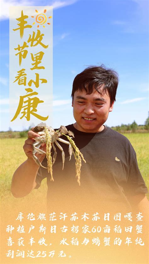 拥民肥惠农心（17）：玉米丰收季之王云芳-原河北农民报官网