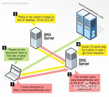 DNS协议 是什么？说说DNS 完整的查询过程?