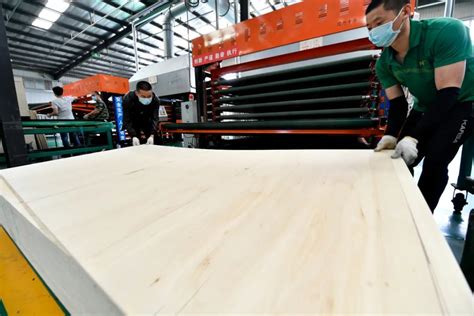 集聚发展！文安人造板产业实现提档升级-中国木业网