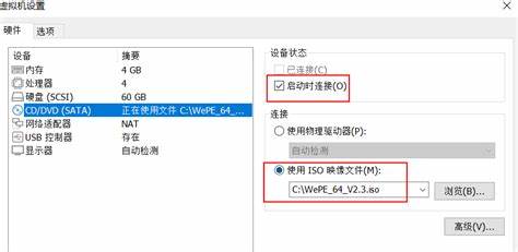 虚拟机怎样进入bios设置