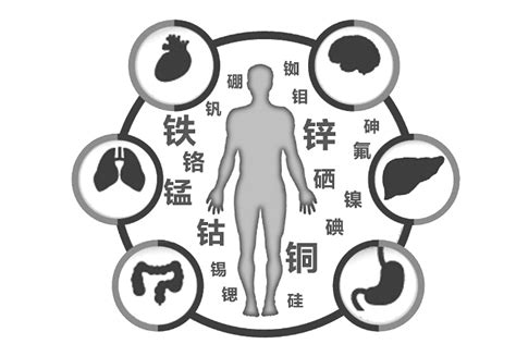 人体微量元素的作用对人体健康起着重要作用-山东国康