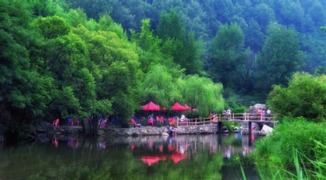 河南不可忽略的14处景点，适合带父母游玩|景区|景点|游客_新浪新闻