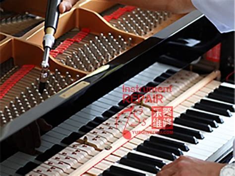 钢琴弦乐调音乐器的调音师高清图片下载-正版图片505193384-摄图网