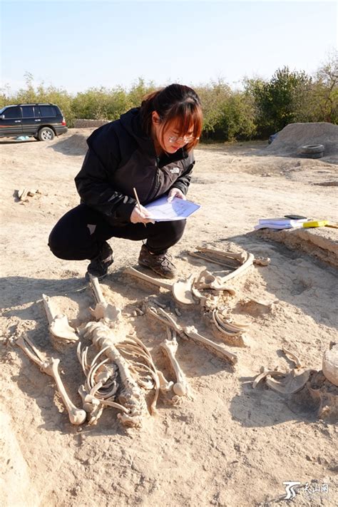文物是怎样发现的之二：考古发掘(8月)|云南省文物考古研究所