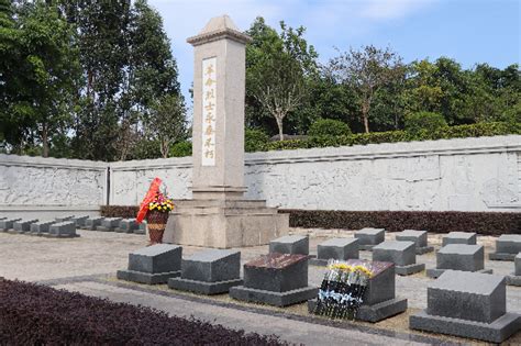 致敬英烈，铭记忠魂！鹤山市举行零散烈士墓迁葬入园仪式