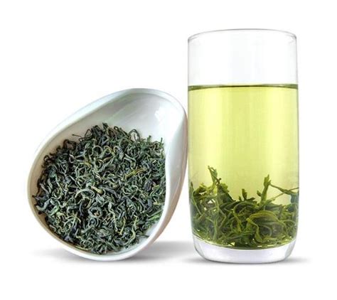 云雾绿茶的功效与作用及禁忌_绿茶的功效与作用_绿茶说