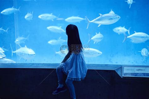水族馆看鱼的小女孩高清图片下载-正版图片502038277-摄图网