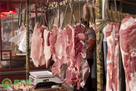 今日猪肉价格多少钱一斤？2020年7月28日全国生猪价格最新行情 - 惠农网