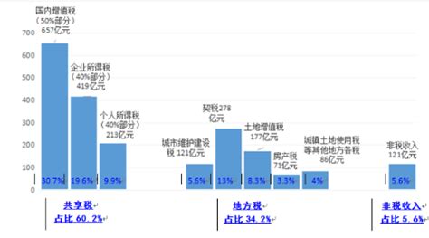 关于杭州市及市本级2020年预算执行情况和2021年预算草案的报告（书面）