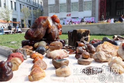 哈尔滨第二届宝玉石观赏石展将于20日举行-和田玉资讯