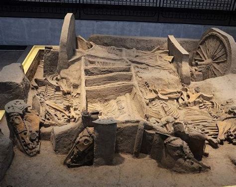 陕西镐京遗址首次发现鳄鱼骨板 专家：古代或有大面积水域