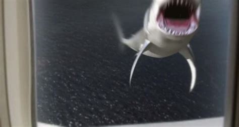 世界上最凶残的鲨鱼之一：噬人鲨会袭击人类_巴拉排行榜