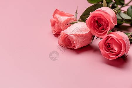 爱情告白唯美情人节520粉色背景图片免费下载-千库网