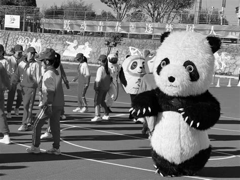 粤科网-长隆开启“超级大熊猫节”,呈献花样趣味科普盛宴