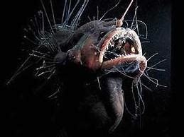 海洋里的10种奇怪生物, 世界之大