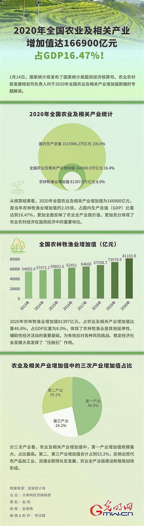 2022年中国种子行业市场现状及发展趋势分析 育种创新成为发展重点_企业新闻网
