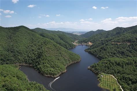 中医药助力乡村振兴吉林三道沟村火红的五味子让村民过上红火日子