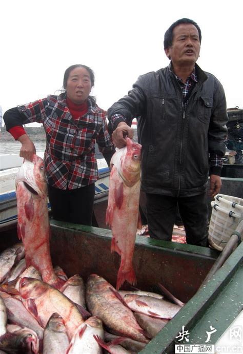同江年货鱼市见闻--实拍黑龙江畔最大的中俄江鱼市场|同江|鱼市|鱼_新浪新闻