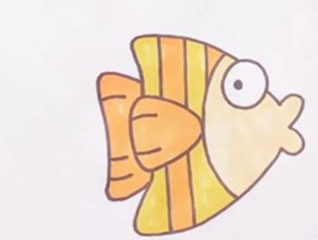 热带鱼的画法简笔画带步骤简单又漂亮涂色 - 丫丫小报